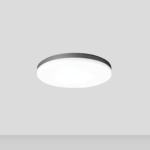 Circo  |  29W<br>SP 1719